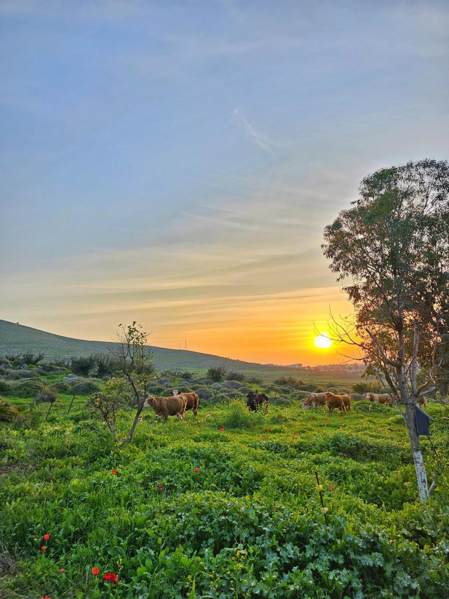 זריחה למרגלות הגלבוע Villa Nurit Exterior foto